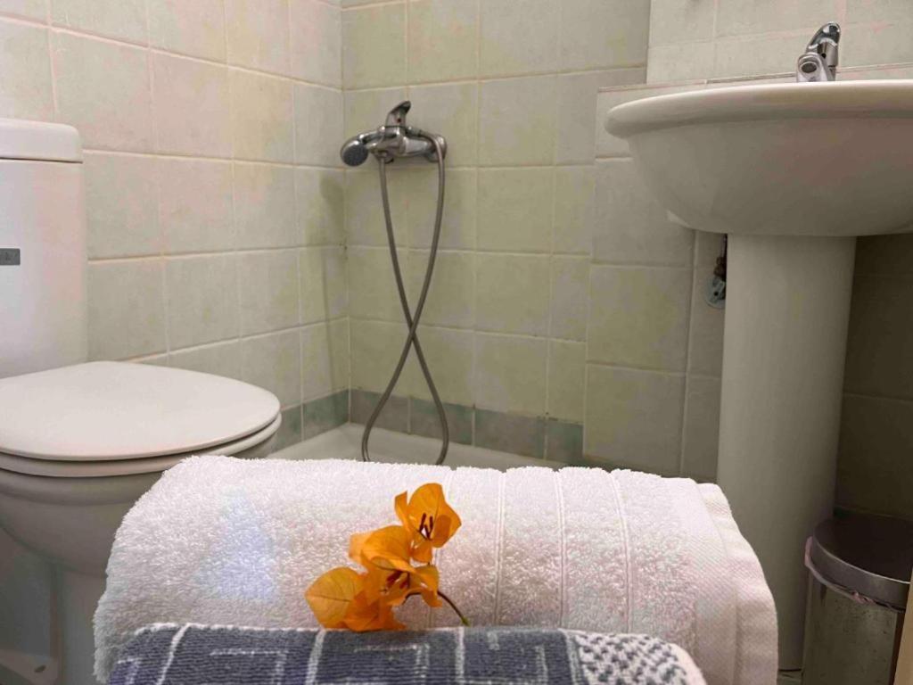 Kastro Aggeliki Appartement Kardhamili Buitenkant foto